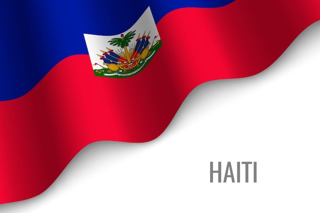 아이티의 깃발을 흔들며.
