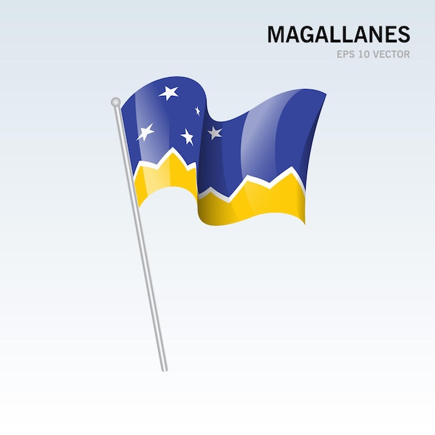 회색 배경에 고립 된 칠레의 Magallanes 지역의 깃발을 흔들며