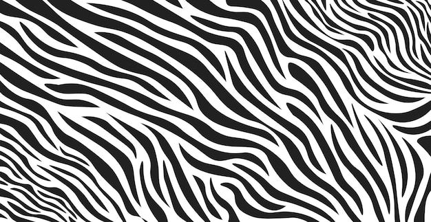 Wavy black and white zebra fur texture  Vector