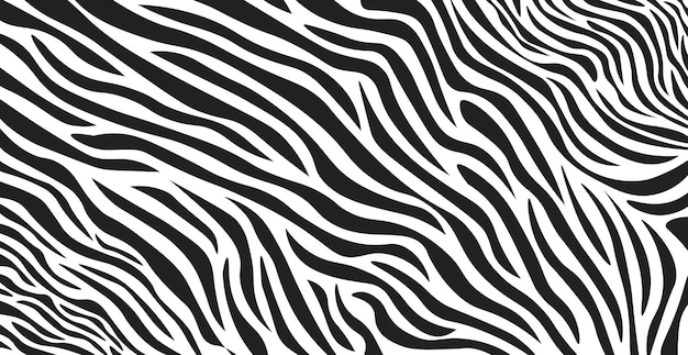 Wavy black and white zebra fur texture  vector