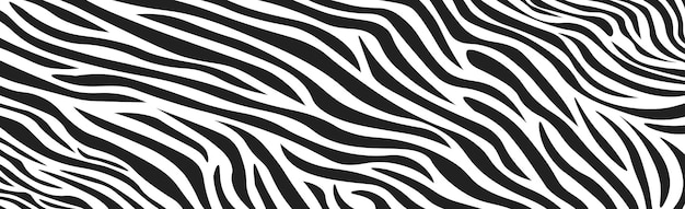 Wavy black and white zebra fur texture  Vector