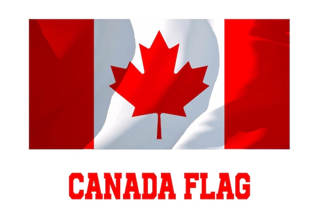 Vector wavy canada flag design