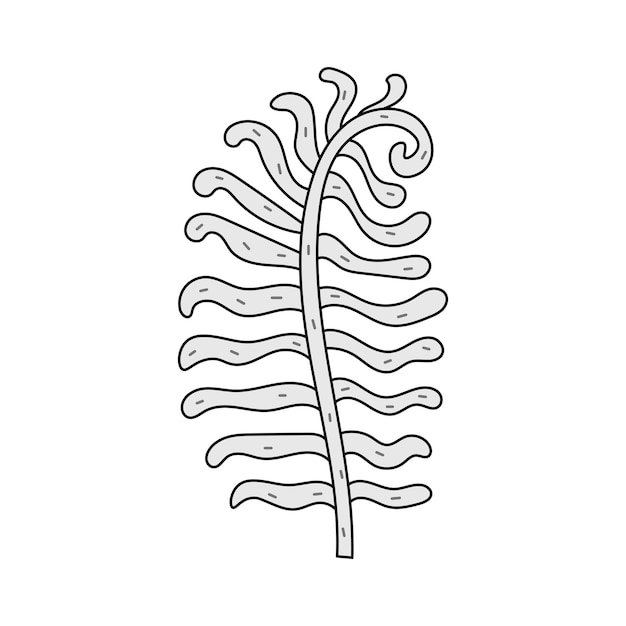 Wavy fern leaf doodle style