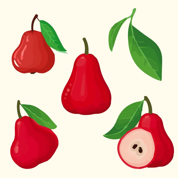 Vector wax apple with leaves isolated tropical fruit jambu juicy bell apple icon flat style set