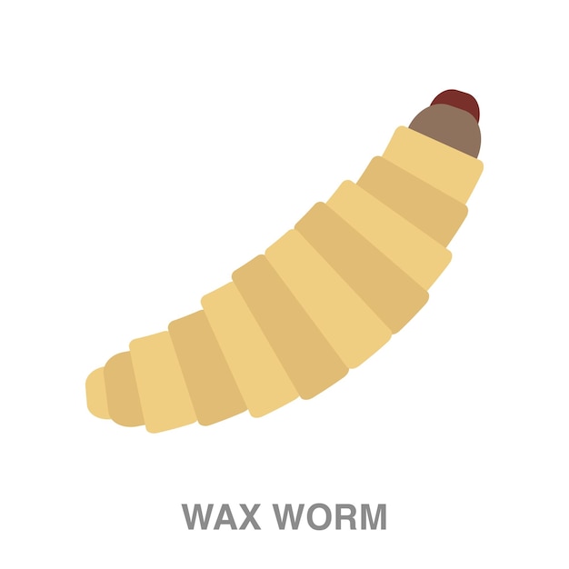 Wax worm illustration on transparent background