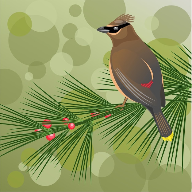 Vettore waxwing su un ramo