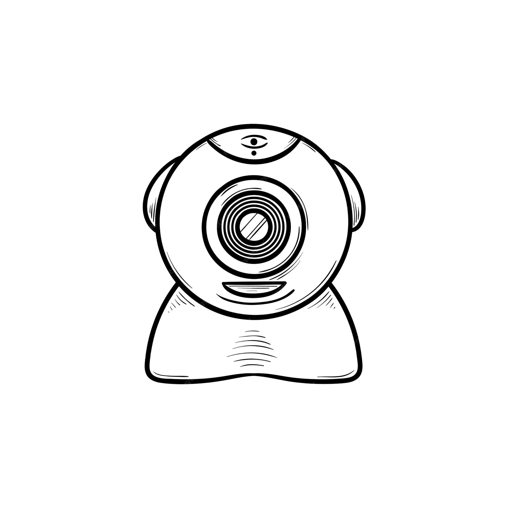 Web camera chat