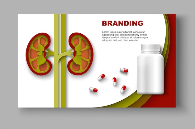 Веб-макет брендинга лекарств для лечения почек