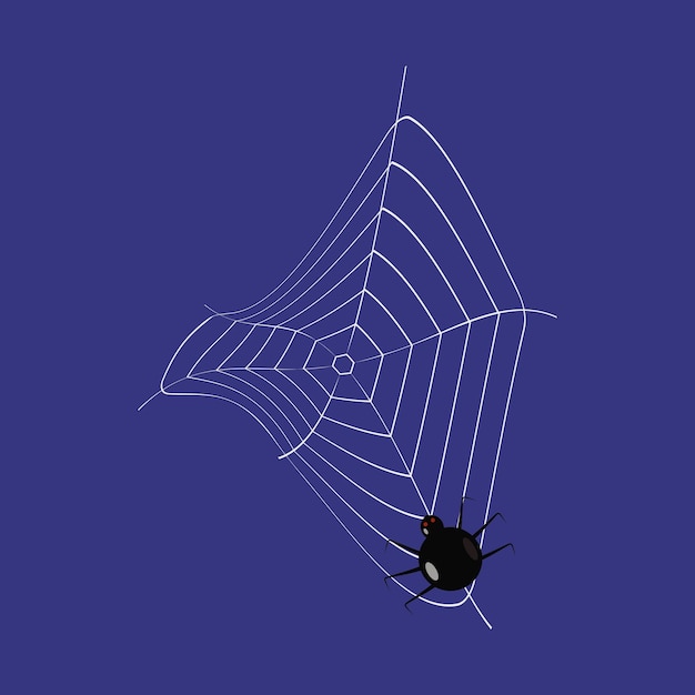 Vector a web with a scary black spider