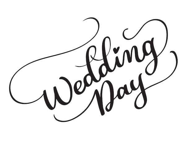 wedding day vector text on white background. Calligraphy lettering illustration