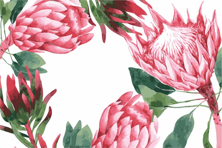 ピンクの春の花、プロテア、イラストの結婚式の招待カードテンプレート。