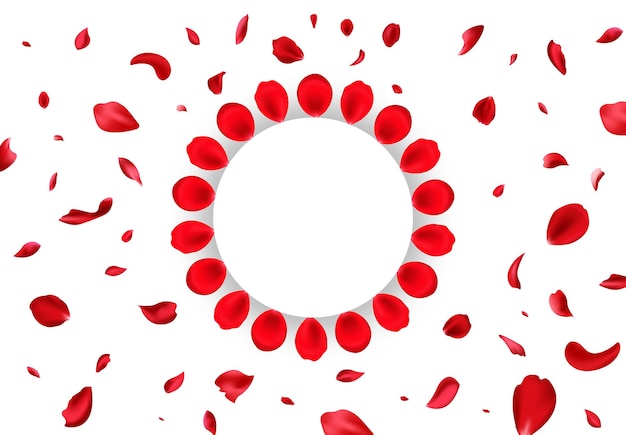 wedding invitation petals cercle shape with petals background vector