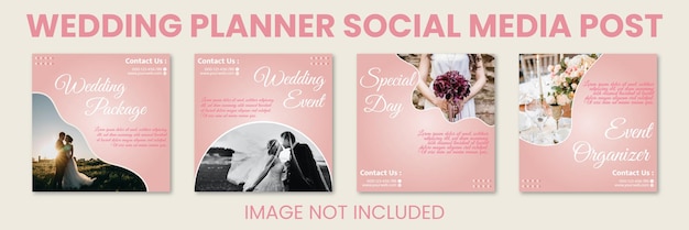 Vettore post sui social media di wedding planner