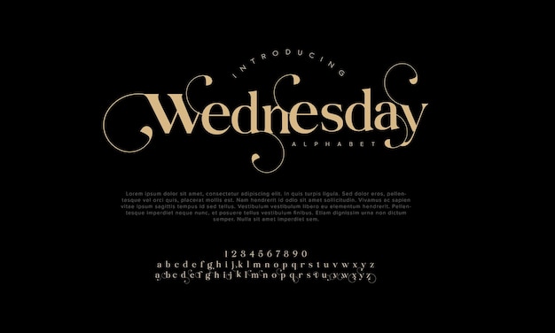 Vector wednesday premium luxury elegant alphabet letters and numbers vintage wedding typography classic