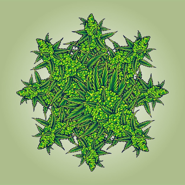 Vector weed leaf cannabis mandala illustrations