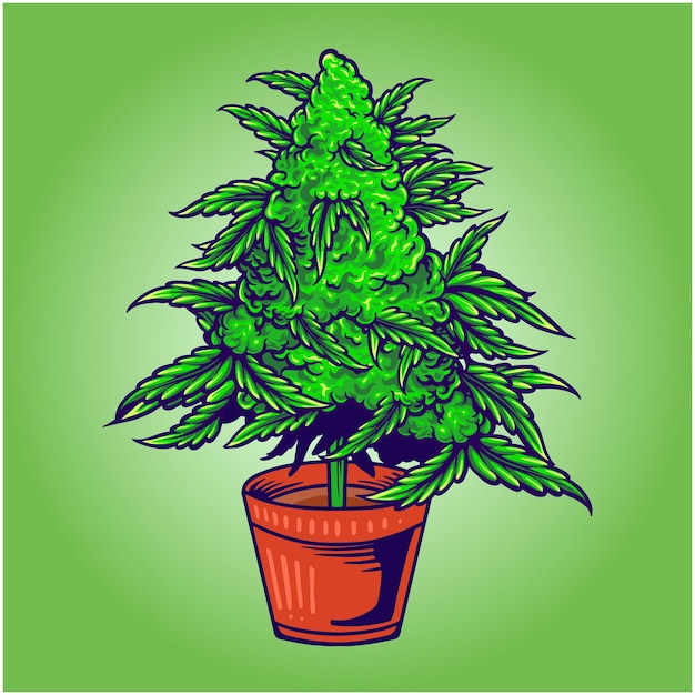 Weed leaf plant with pot