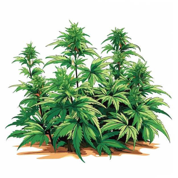 weed plants vector