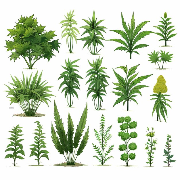 Vector weed plants vector