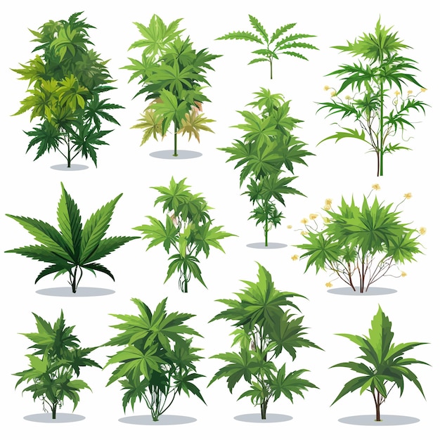 weed plants vector