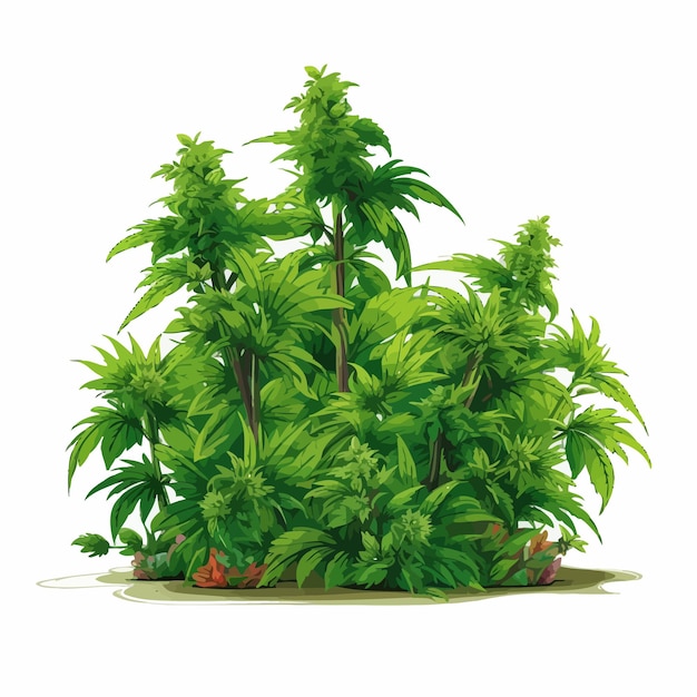 Weed plants