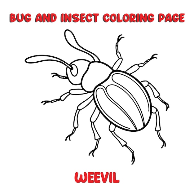 weevil coloring page for a children bugs coloring book