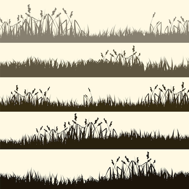 Weide silhouetten met grasplanten op een vlak panoramisch zomer graslandschap met verschillende kruiden