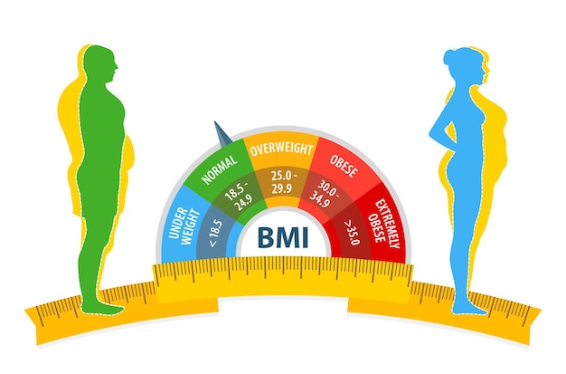 벡터 체중 감량 bmi 남녀 다이어트 및 피트니스 전후 뚱뚱하고 마른 남녀