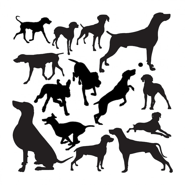 Weimaraner dog animal silhouettes.