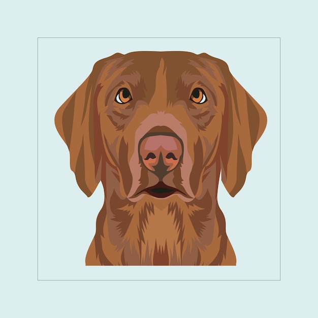 Weimaraner Hondenhoofd illustratie vector