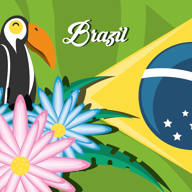 Welcome to brazil design