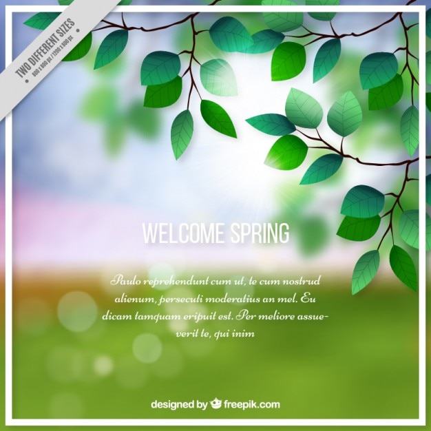 Vector welcome spring bokeh background