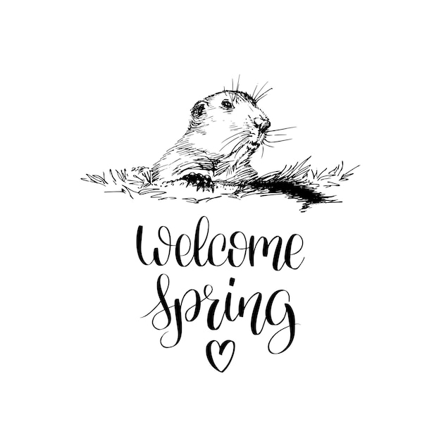 Welcome spring hand lettering.