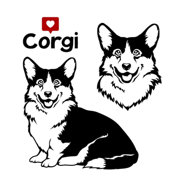 Welsh corgi cardigan dog Vector illustration on white background