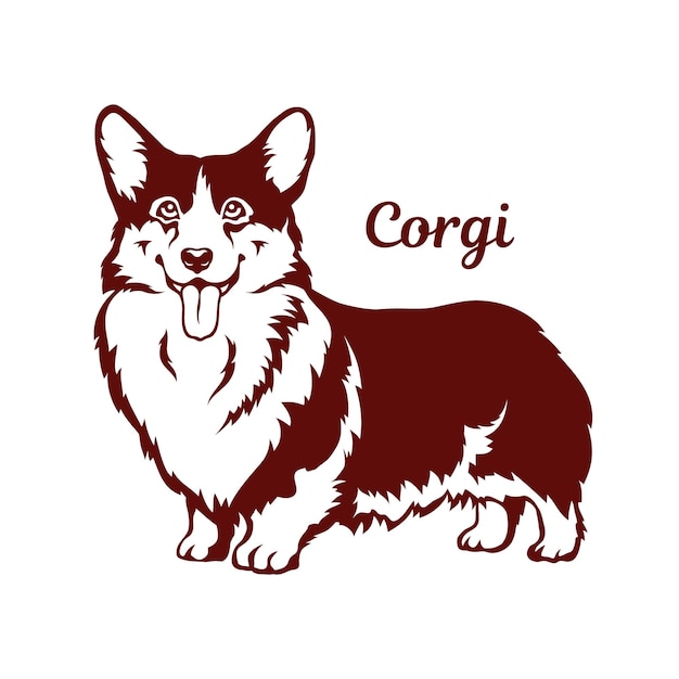 Cane cardigan corgi gallese