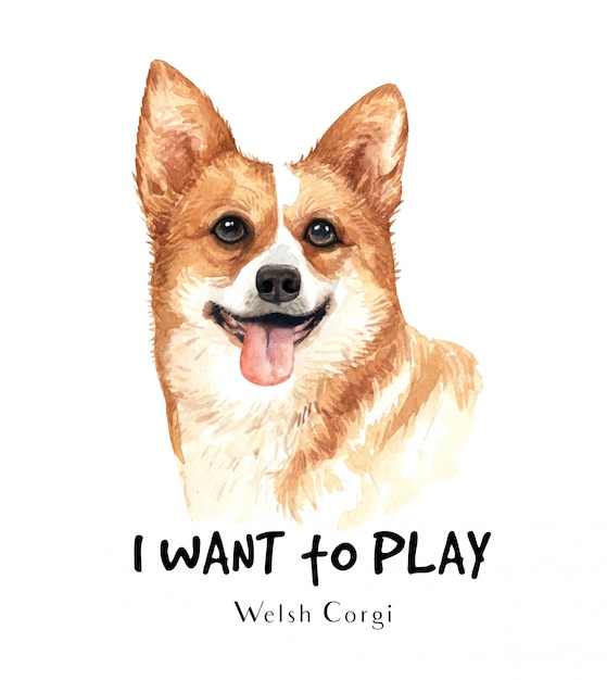 Welsh Corgi dog watercolor for printing.