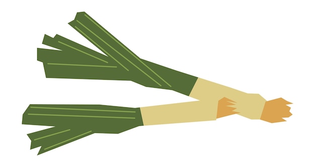 Валлийский лук значок. зеленый японский лук-порей, изолированные на белом фоне