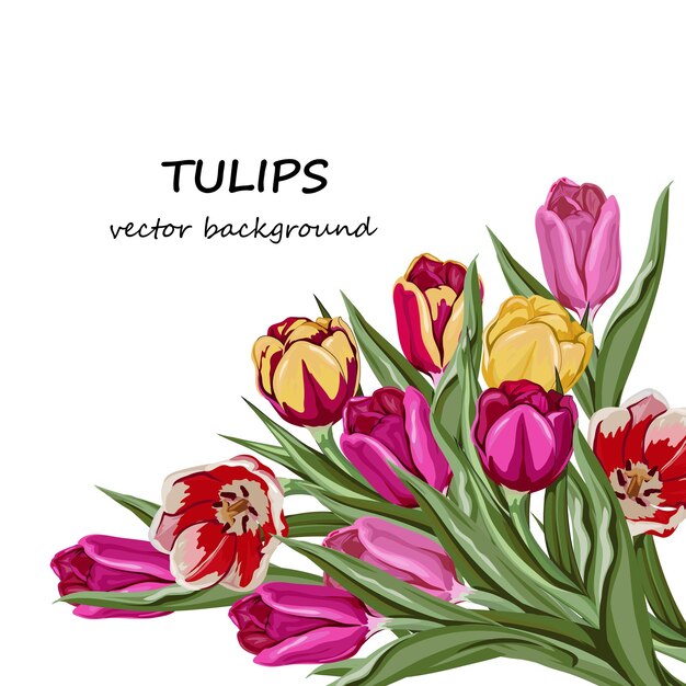 Wenskaart of bruiloft uitnodiging sjabloon met tulpen vectorillustratie geïsoleerd