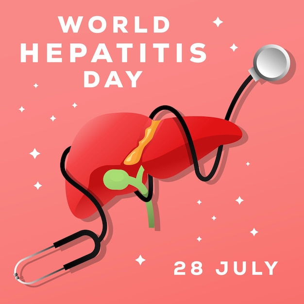 Wereld hepatitis dag 28 juli illustratie met stethoscoop gewikkeld rond de lever