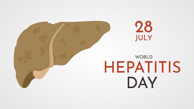 Wereld Hepatitis Dag Gezondheidszorg concept ongezonde lever illustratie Vector spandoek of ansichtkaart