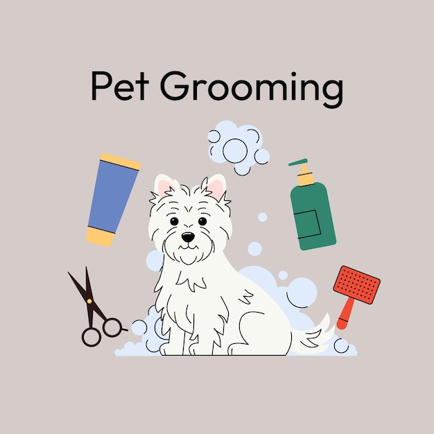 west highland white terrier grooming a fluffy white dog stands among grooming tools like scissors