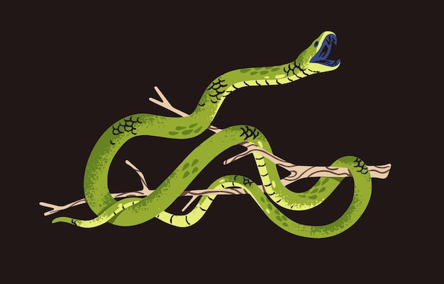 Вектор Западная зеленая мамба в позиции нападения ядная змея на дереве тропическое холоднокровное животное на ветви экзотическая змея с открытым ртом африканская тропическая фауна плоская изолированная векторная иллюстрация.
