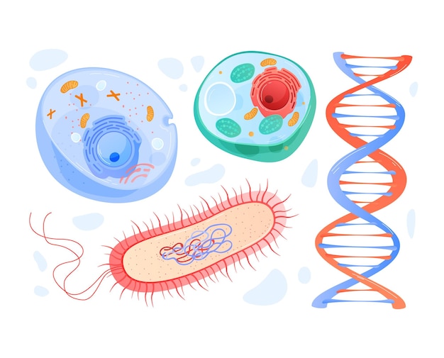 Wetenschap voor studie dna menselijke cel in gesneden onder microscoop medisch onderzoek cartoon stijl vectorillustratie geïsoleerd op wit