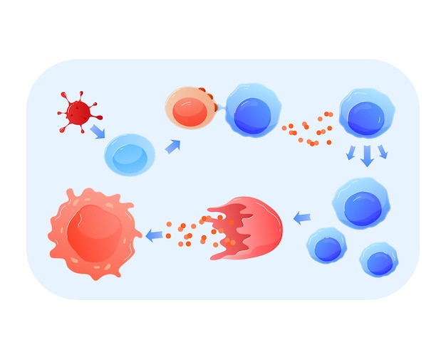 Wetenschap voor studie dna menselijke cel in gesneden onder microscoop medisch onderzoek cartoon stijl vectorillustratie geïsoleerd op wit