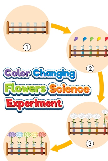 Wetenschappelijk experiment met kleurveranderende bloemen