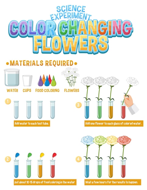 Wetenschappelijk experiment met kleurveranderende bloemen