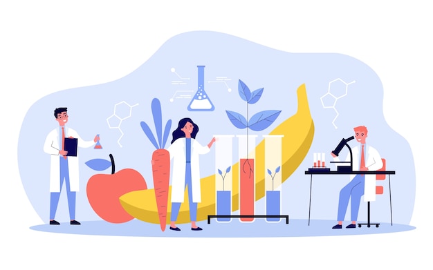 Vector wetenschappers kweken planten in het laboratorium, verbouwen genetisch gemodificeerde groenten en fruit, doen onderzoek. illustratie voor biologie, kunstmatig voedsel, landbouwconcept