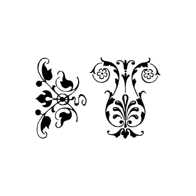 Wfloral decorative elements vector