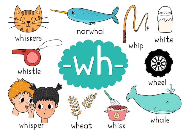 Vector wh digraph spellingsregel educatieve poster voor kinderen met woorden leren wh phonics