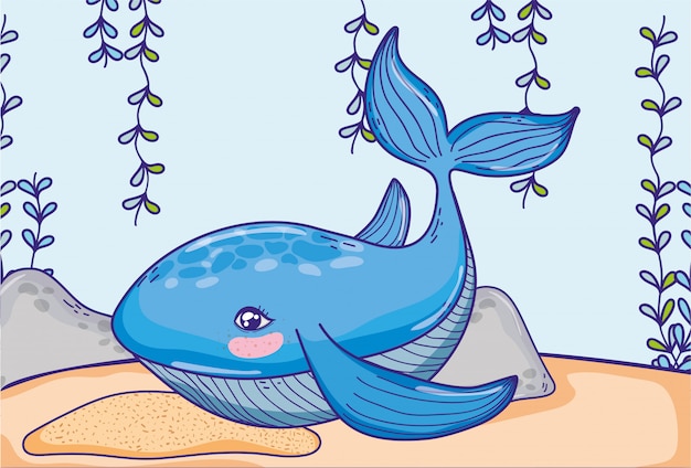 海藻植物ぶら下げクジラ動物