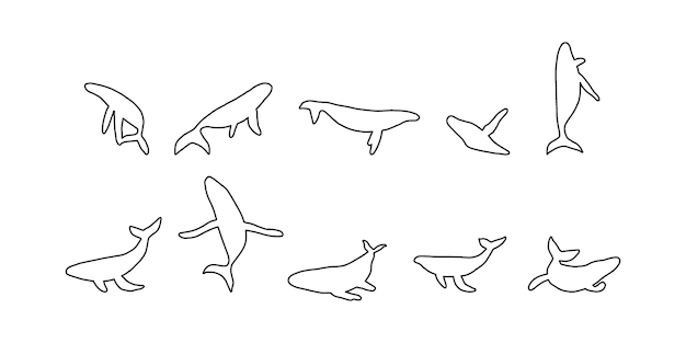 Whale black line silhouette ocean animal Sealife in Scandinavian style on a white background